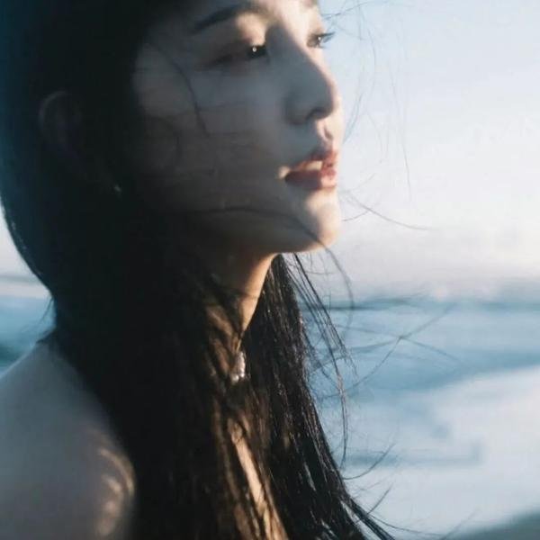 保福之枪海报