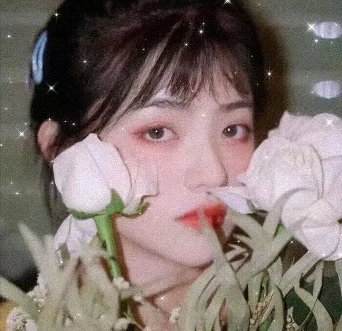 新蝶恋花海报